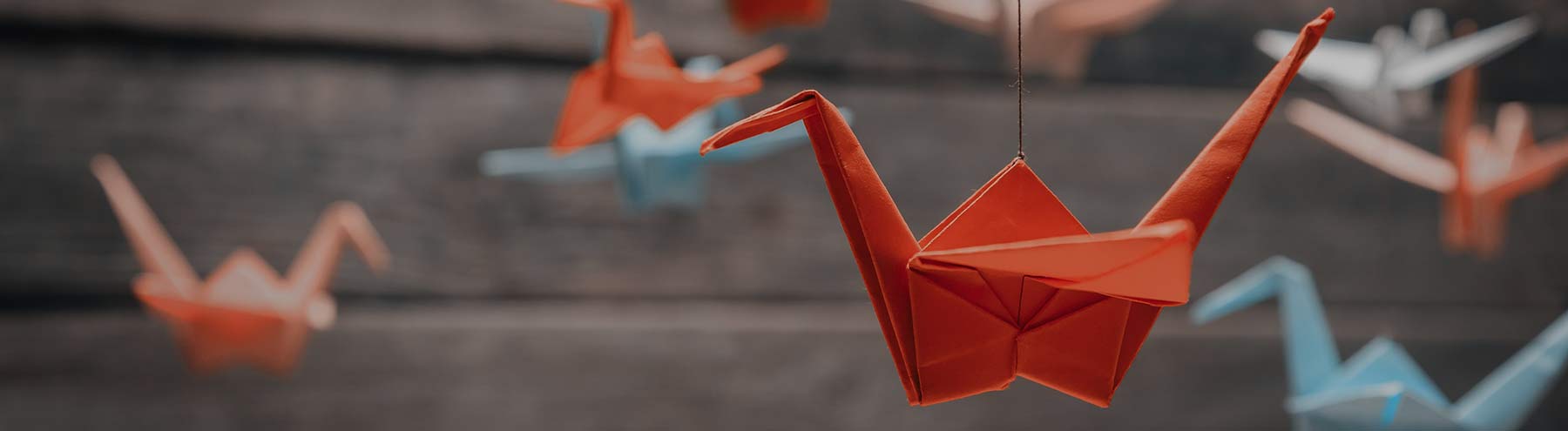 What's the connection between a cow, a digital printer and origami?